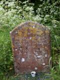 image of grave number 568181